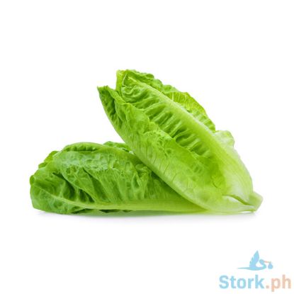 Picture of Millenium Romaine Lettuce Per Kilo